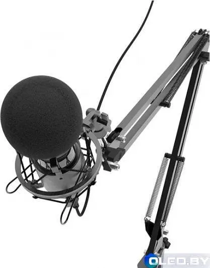 Микрофон Ritmix RDM-180