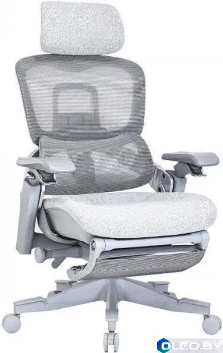 Кресло компьютерное EVOLUTION ZX 1