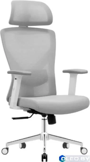 Кресло компьютерное EVOLUTION ErgoLine 2 (серый)