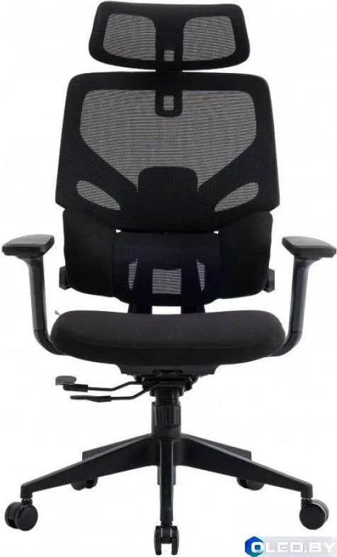 Кресло компьютерное EVOLUTION LumbarPro