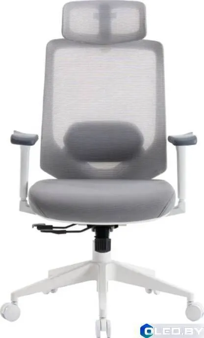 Кресло компьютерное EVOLUTION HybridFlex (белый)