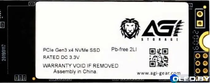 SSD диск AGI AI198 (256Gb)