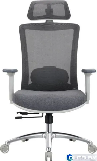 Кресло компьютерное EVOLUTION ERGO PRIME (серый)