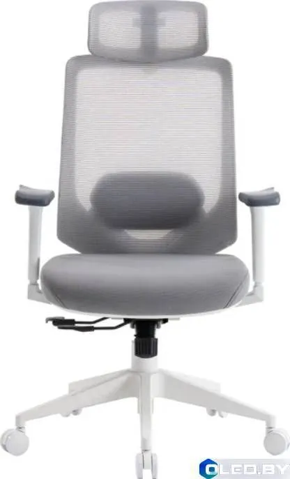 Кресло компьютерное EVOLUTION LumbarPro Elite (серый)