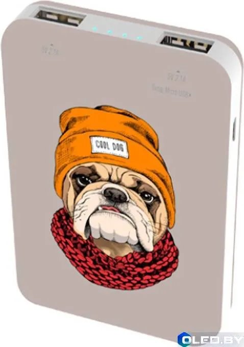 Внешний аккумулятор Ritmix RPB-10007 Buldog 10000мАч