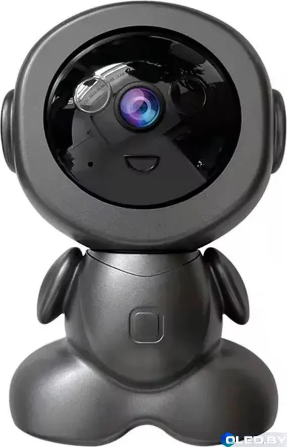 Камера видеонаблюдения OULEMEI OLM-SXW006/WI-FI
